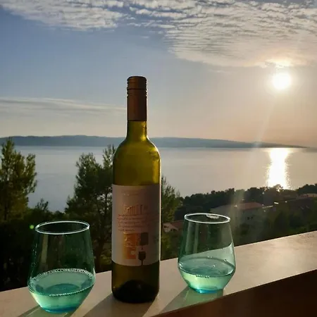 Sara ブレラ